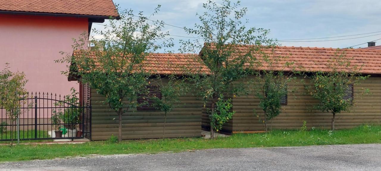 Appartement Kod Ane à Belavici Extérieur photo