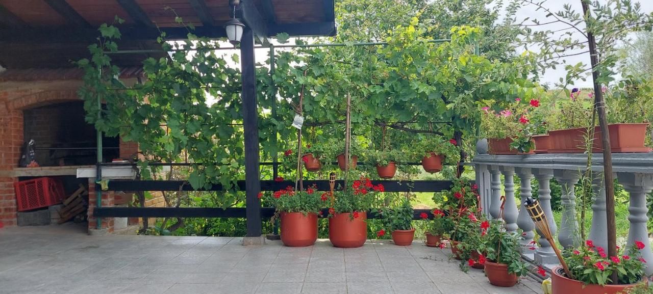 Appartement Kod Ane à Belavici Extérieur photo