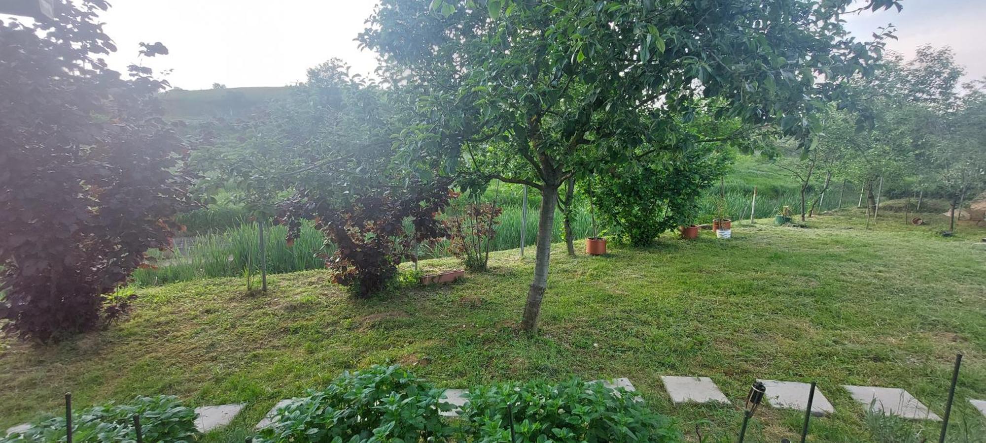 Appartement Kod Ane à Belavici Extérieur photo