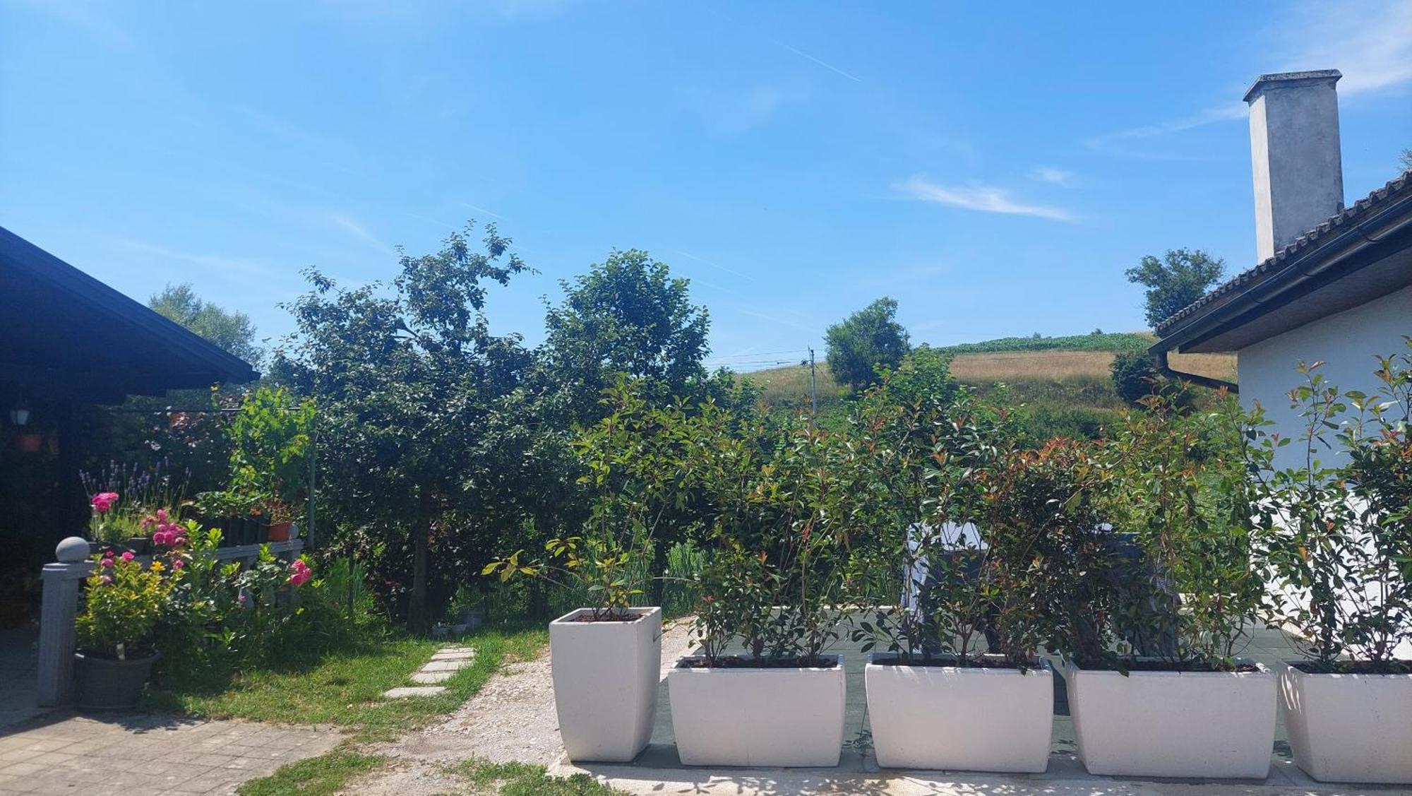 Appartement Kod Ane à Belavici Extérieur photo