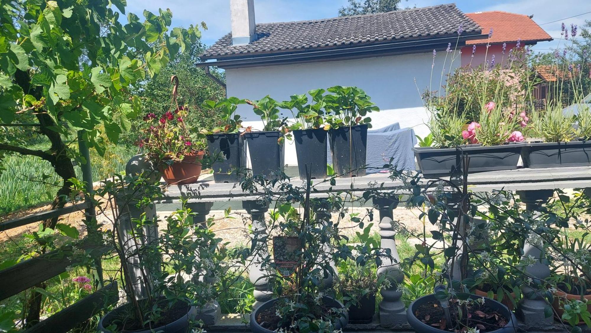 Appartement Kod Ane à Belavici Extérieur photo