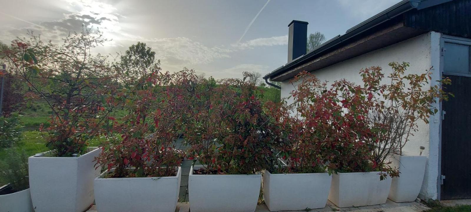 Appartement Kod Ane à Belavici Extérieur photo